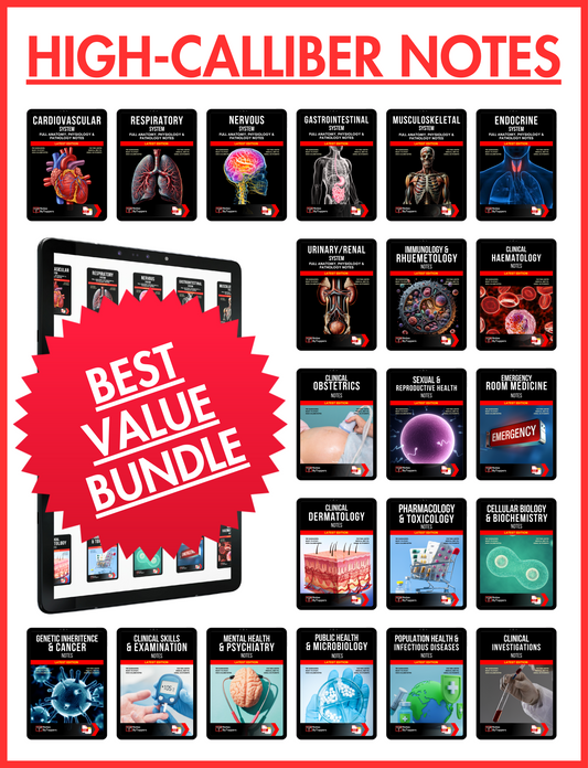 ALL 21 SUBJECTS (92% OFF BUNDLE)